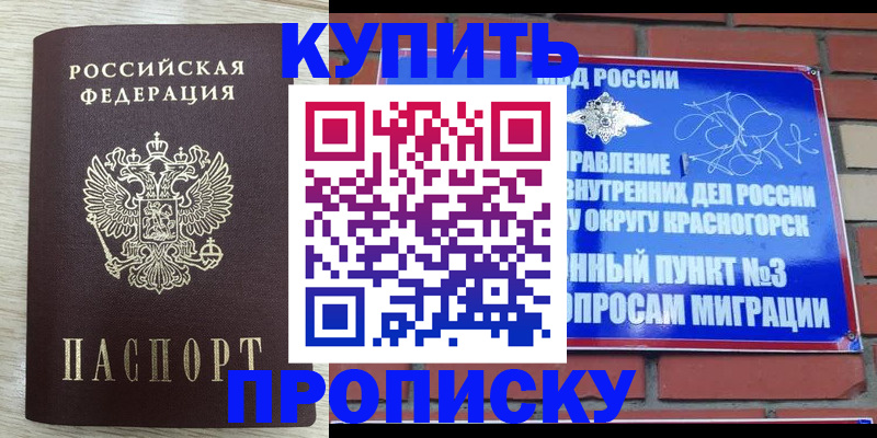 прописка гарантия в Жукове